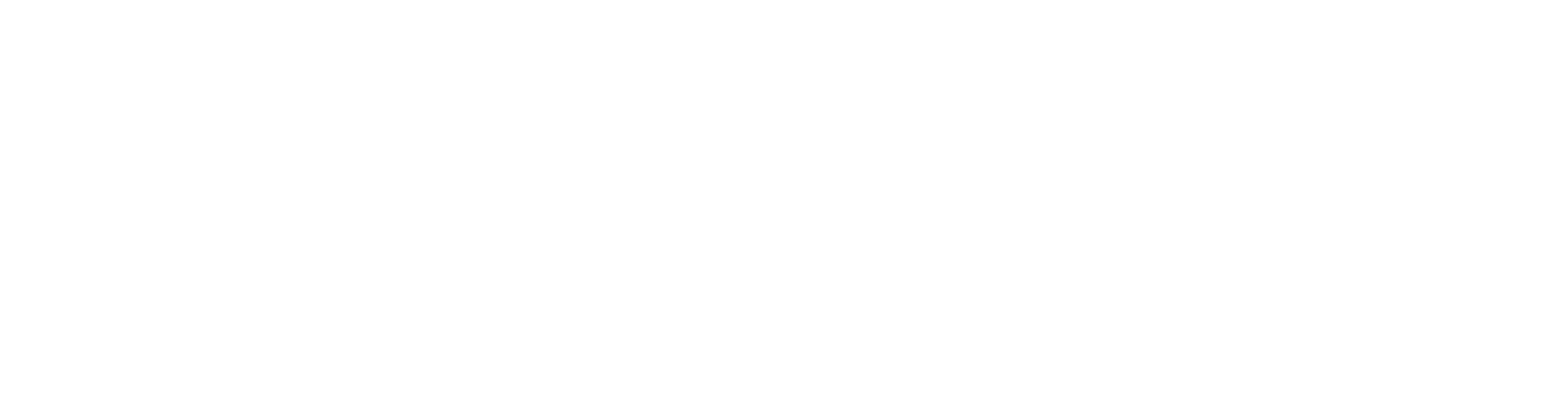 Natalie Silva Advogados Associados